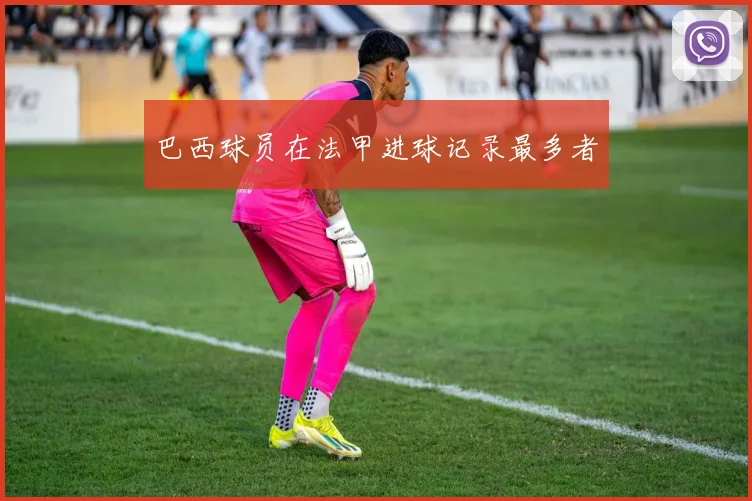 巴西球员在法甲进球记录最多者