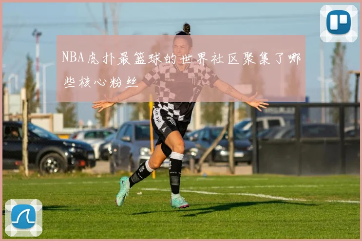 NBA虎扑最篮球的世界社区聚集了哪些核心粉丝