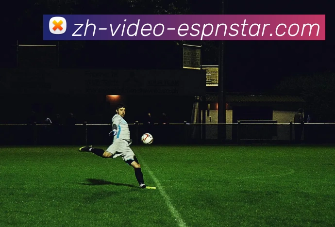 多媒体互动体验